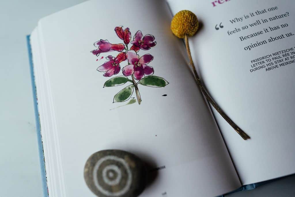 Book with pink flower illustration